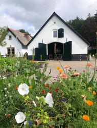 locatie Beter voelen locatie Beter voelen